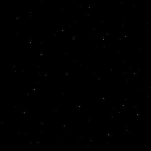 Meet your Posher, Nadia